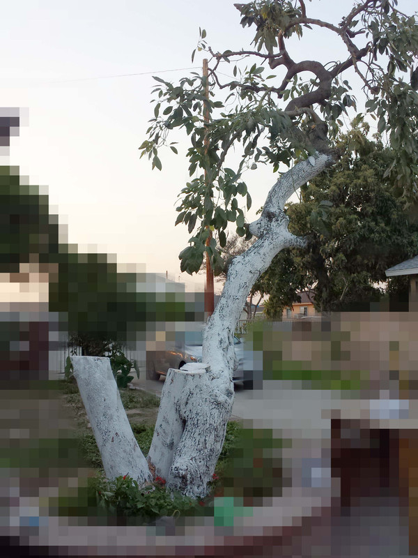 IMG_20150226_173251 copy