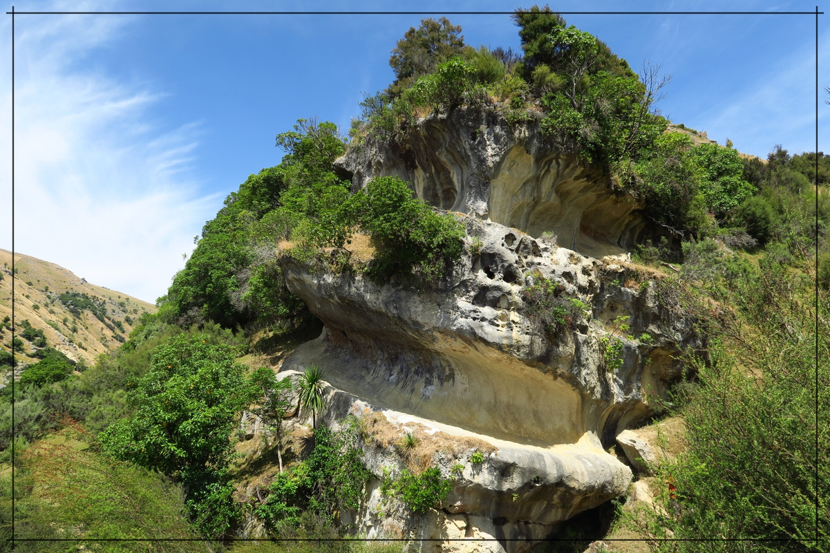 Escapadas y rutas por la Nueva Zelanda menos conocida - Blogs de Nueva Zelanda - Wairarapa, esa gran desconocida (20)