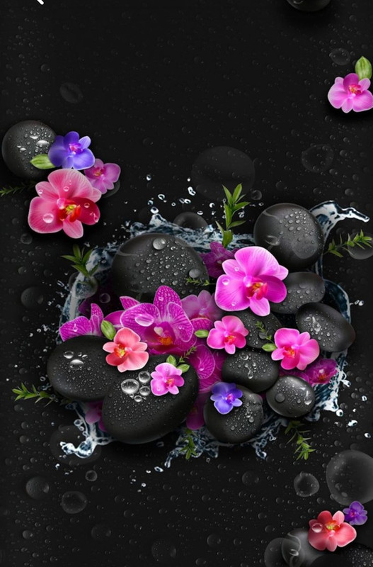 Screenshot_20230724_220956_Pinterest