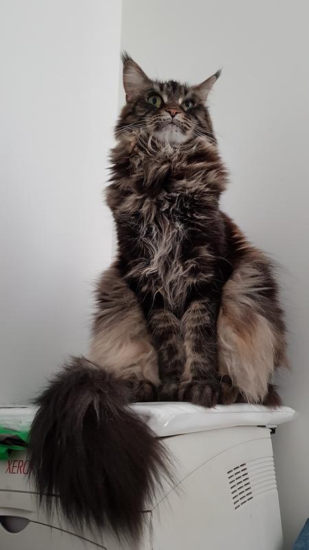 20190207-090912.jpg