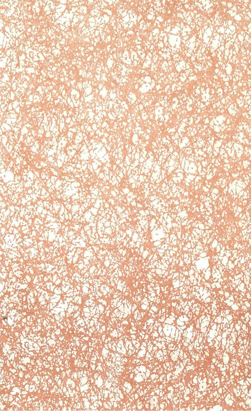 p0503