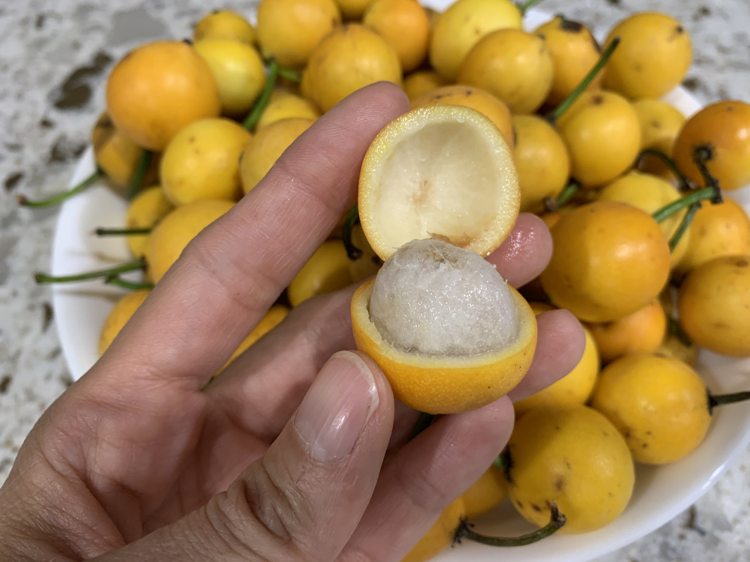 9EEE9E53-570F-4560-A786-55A9C4D3BE14