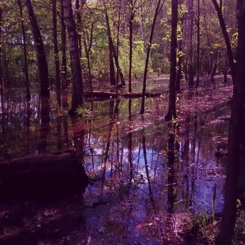 302bxjiJzemWtPW4si1pBwofnCw4f1nz6WH46aeAJbZzvDzMlbJhM2UddFtPbJJL9JZG74gZ