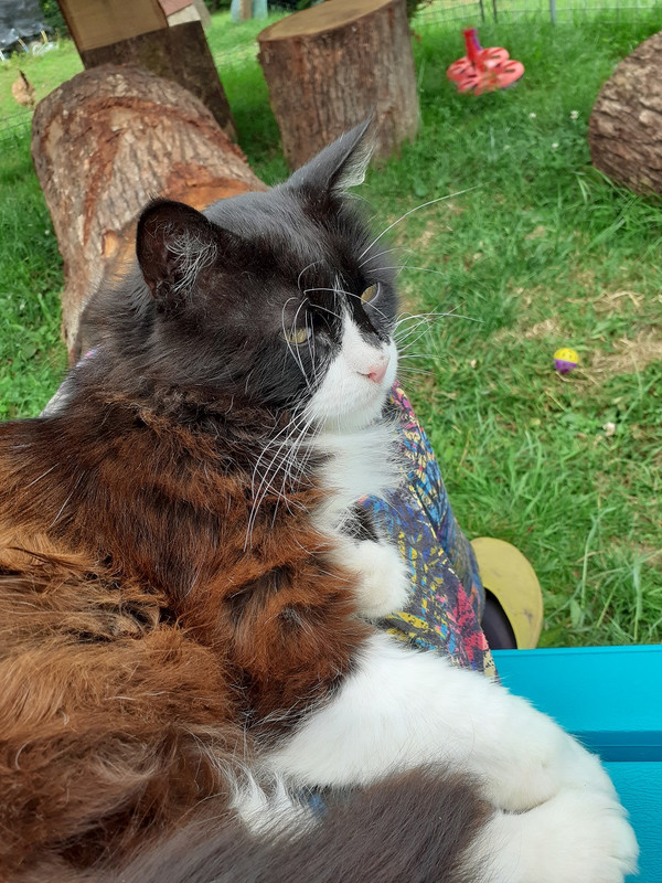 20220610_180231.jpg TINO