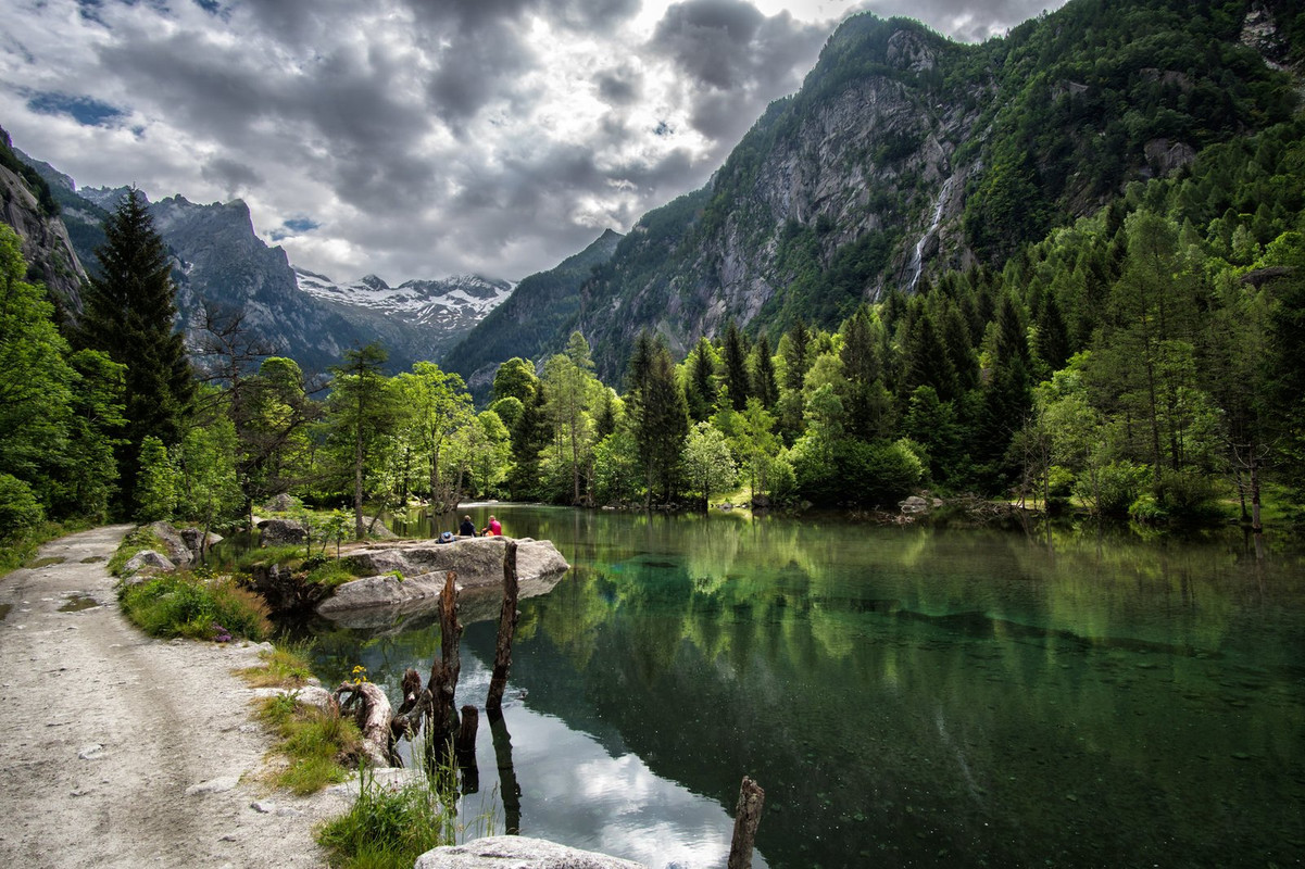 green-lombardy.jpg