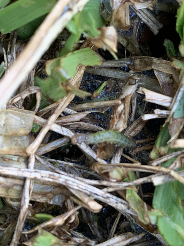 CCD0085F-F1AA-40FE-93F8-7988A89004B2