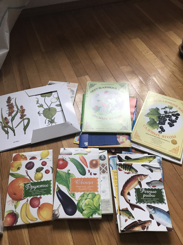 A4881C8E-8D88-44C5-A42C-57845161C657