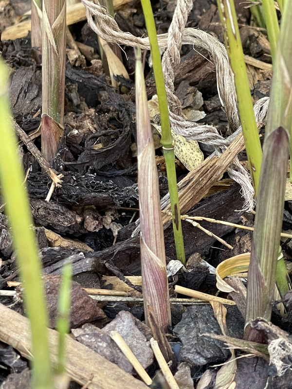 04828275-0006-45B9-9252-0294C0DDBF77