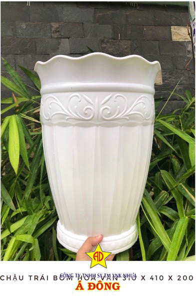 chau-nhua-a-dong (2)