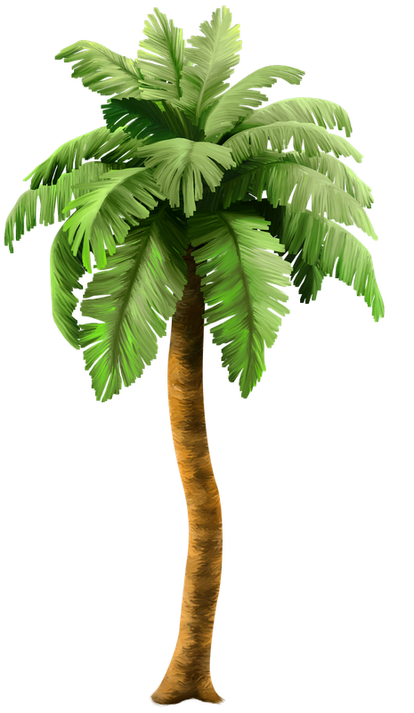 8el