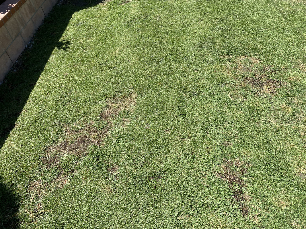 77EAEA62-7AF5-424B-B4C5-DF2C09589E14