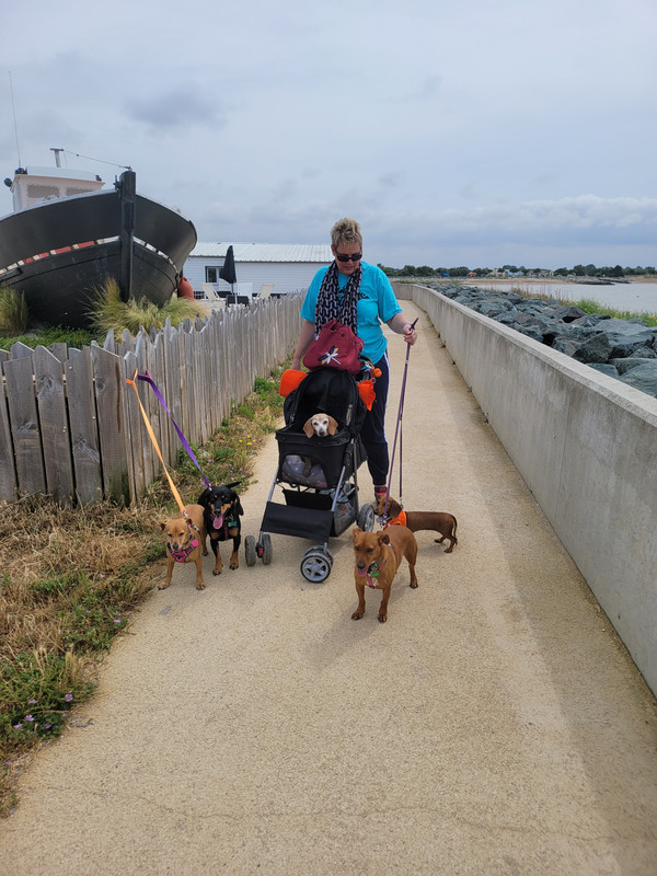 [Image: 20210617-121320.jpg]