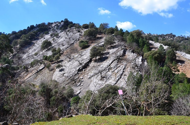 RUTA RIO BOROSA-12-3-2016-JAEN - Paseando por España-1991/2016 (81)