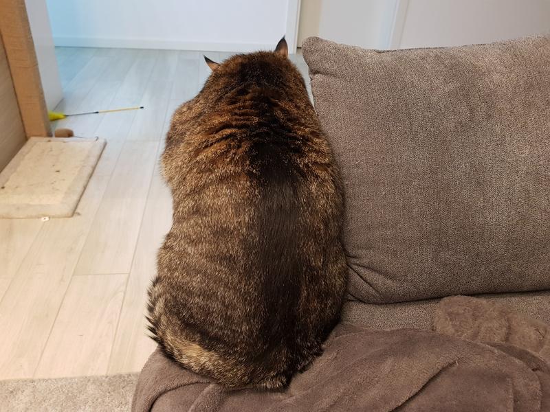 20191122-200828.jpg