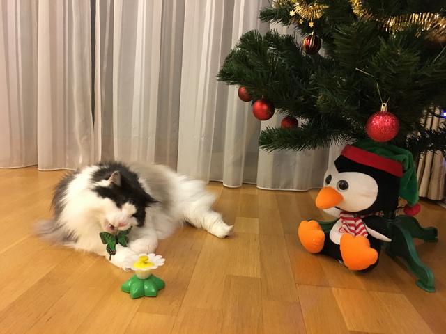 83-A40-C42-E444-4498-8-C9-A-F3-C1-C95-EB