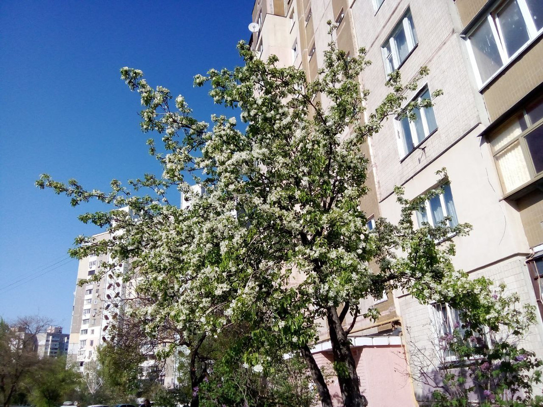 photo_2025-04-22 9.56.07 пп