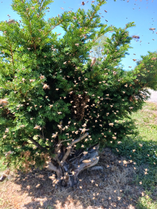 Resized 20260503 142622
