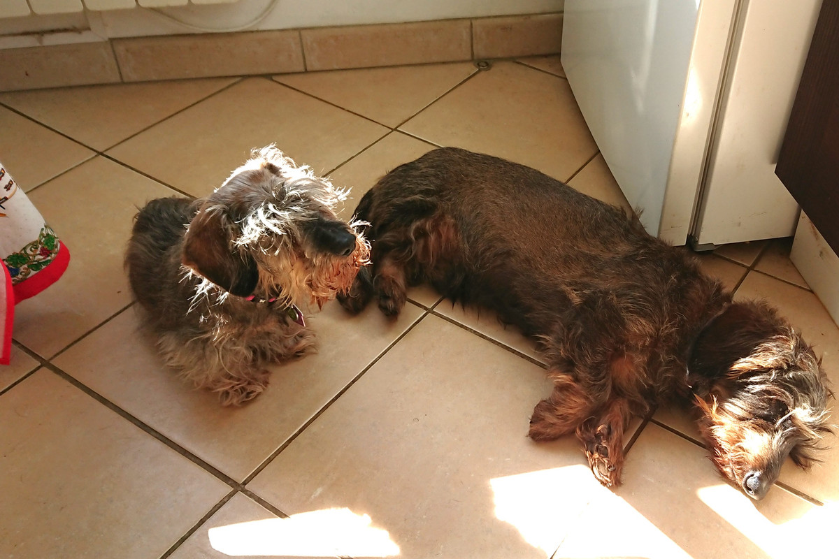 [Image: DSC-3026.jpg]