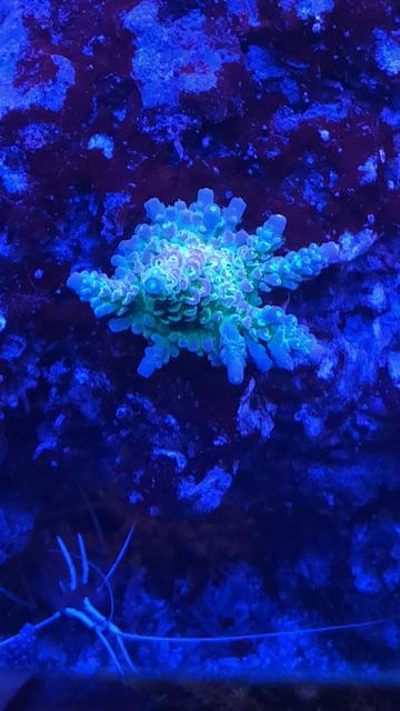 29B49C5C-1430-4E68-A3F4-9A95A98C3272