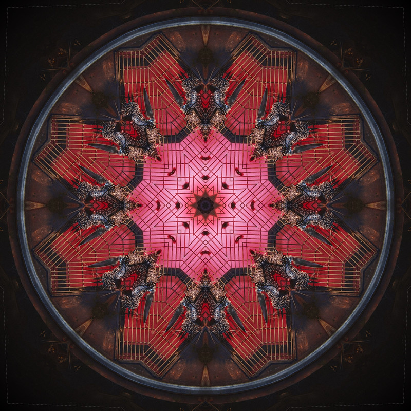 A6415-B76-1360-4653-B5-F9-8-C9-BD55-E769