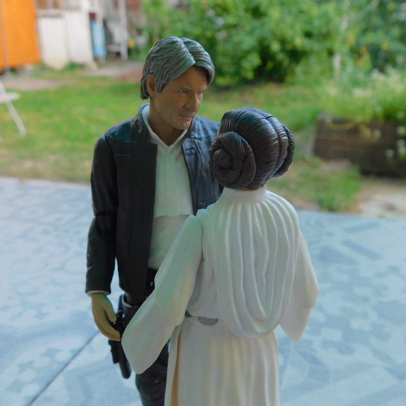 Дачно-Харлинский июнь-июль 2024 253