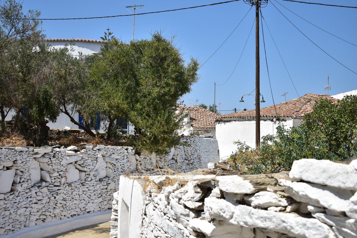 Δρυοπίδα (1)