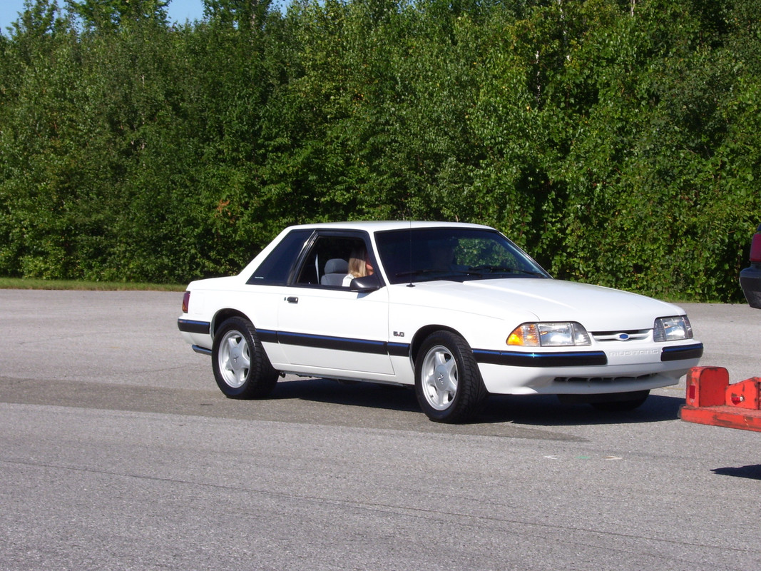 ford - Montréal Mustang: 40 ans et + d’activités! (Photos-Vidéos,etc...) - Page 19 100-0311