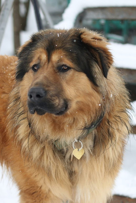 WhatsApp Image 2024-02-28 at 14.06.53 (2)