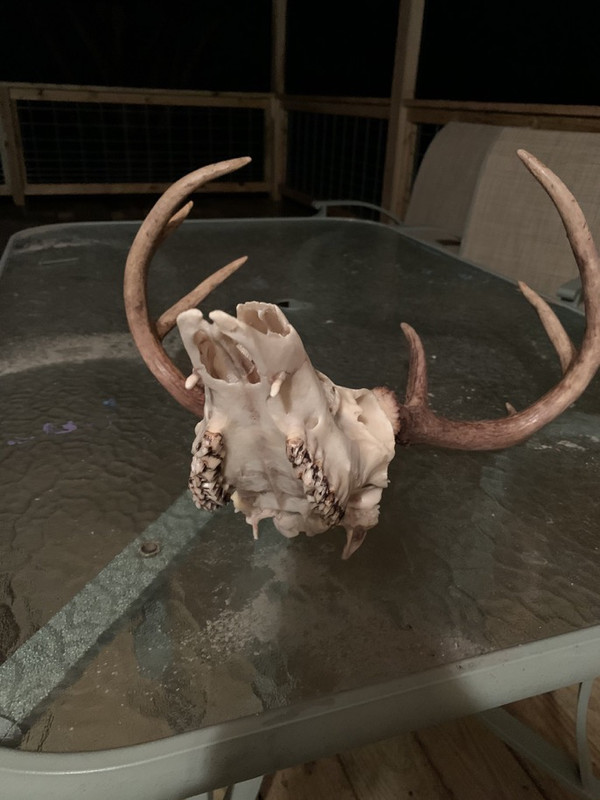 D3AE3E1A-DEAD-4302-9F81-42E72EE5114F