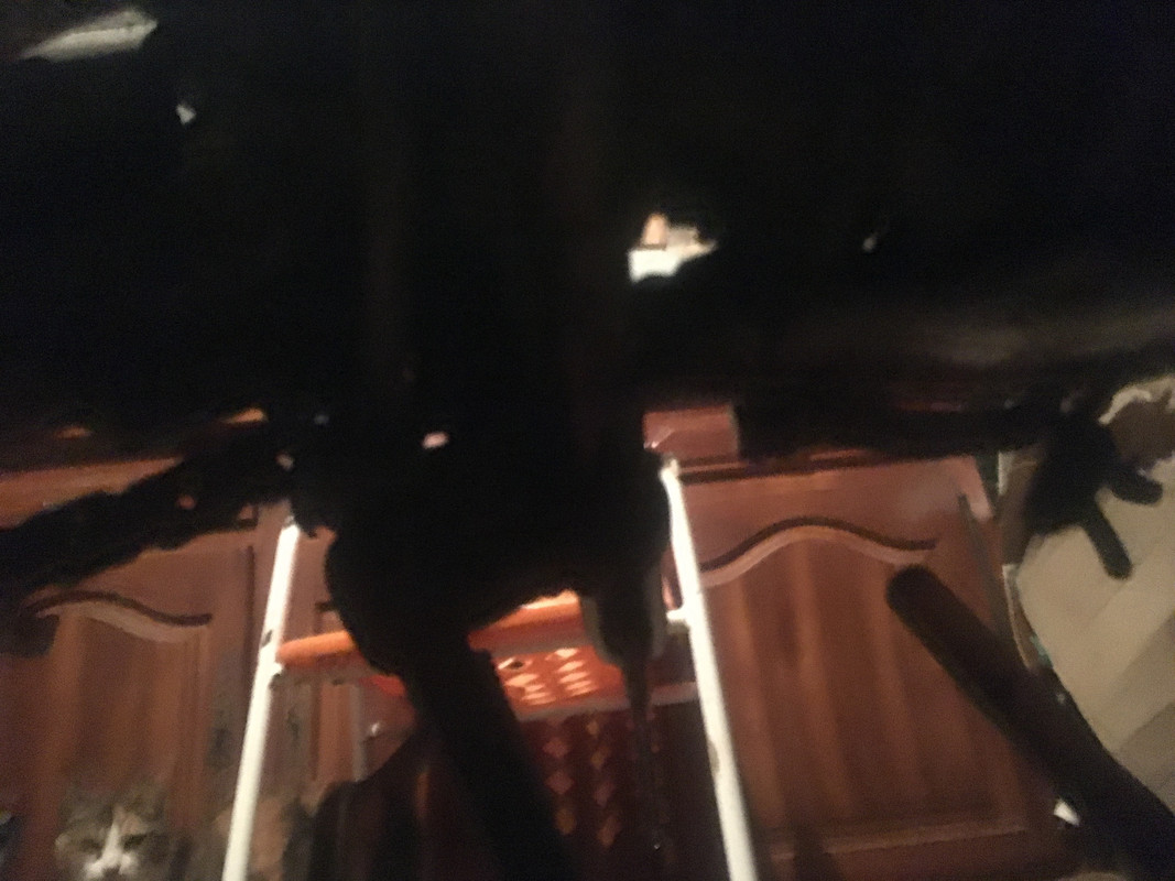 5FA08E0B-7295-43DC-9E56-77B8900152F2