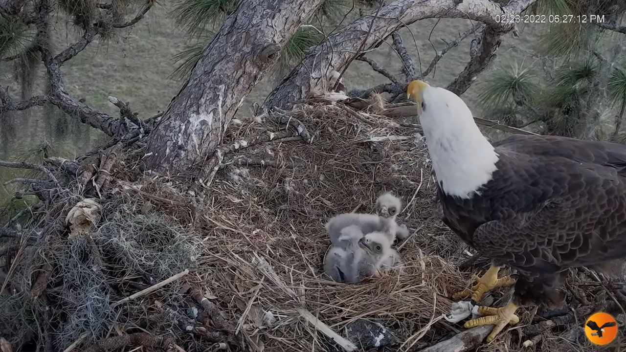 EC 4K Overhead Cam 2-4-20 screenshot