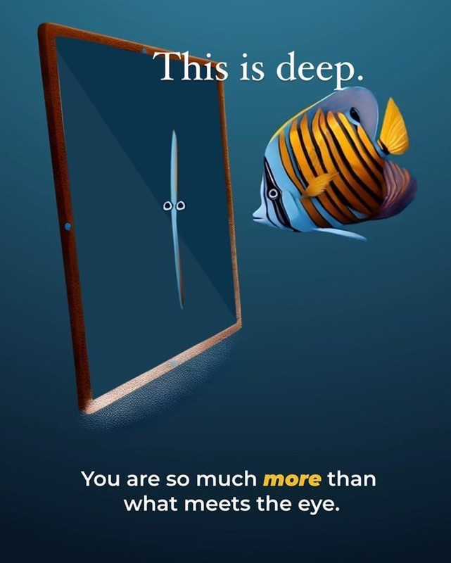 c84c5346a5275339382e3f0d7ec79f47