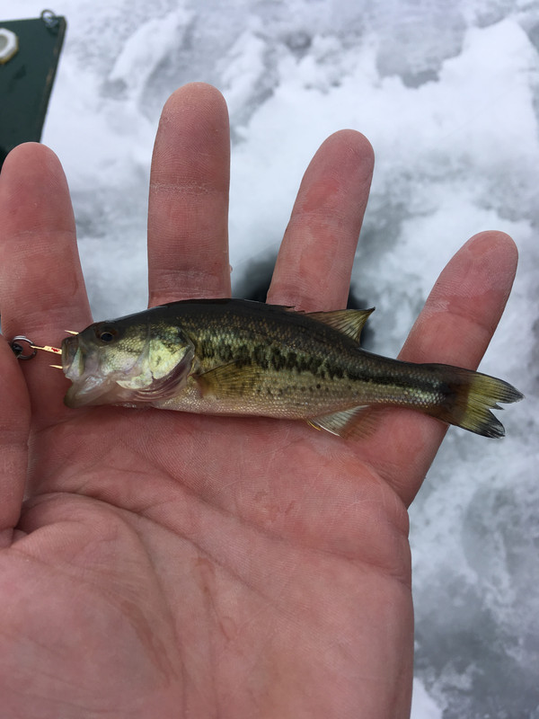 410E6A7A-F677-4B03-8461-C52172B889AB