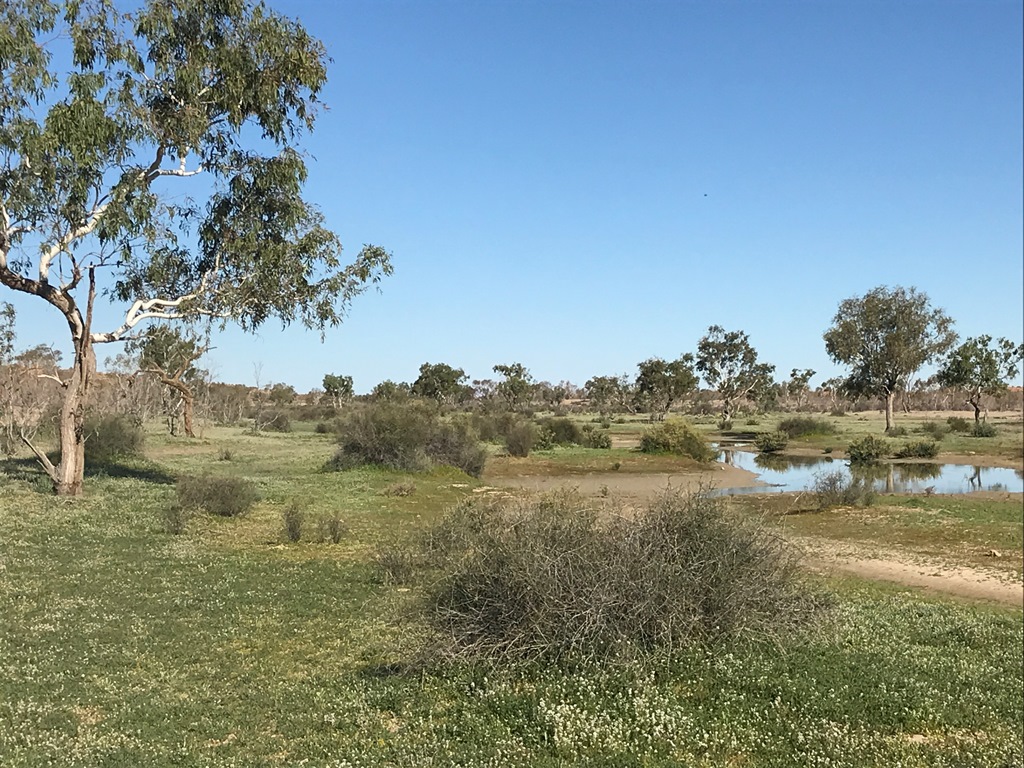 2019-Madigan-Line-Simpson-Desert-TRIP-2421.jpg