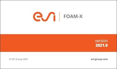 ESI FOAM X 2021.0 (x64)