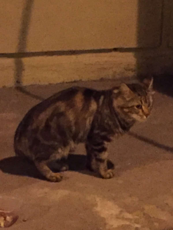 image-22-08-16-10-25-3