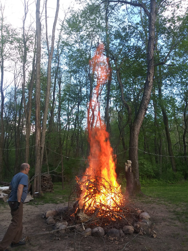 [Image: 20200522-195139-HDR.jpg]