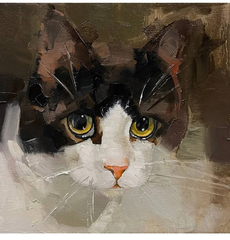 480205896-1538994756765545-999552061225165299-n