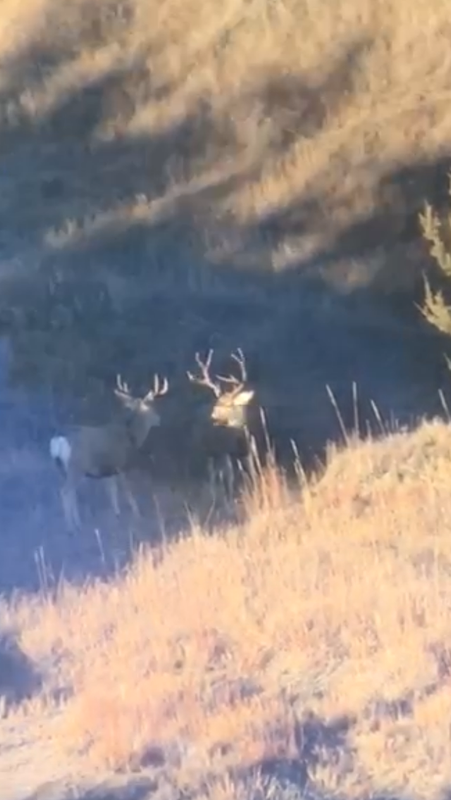 2D05AB86-4473-42F8-A575-6F370D5A8ECB