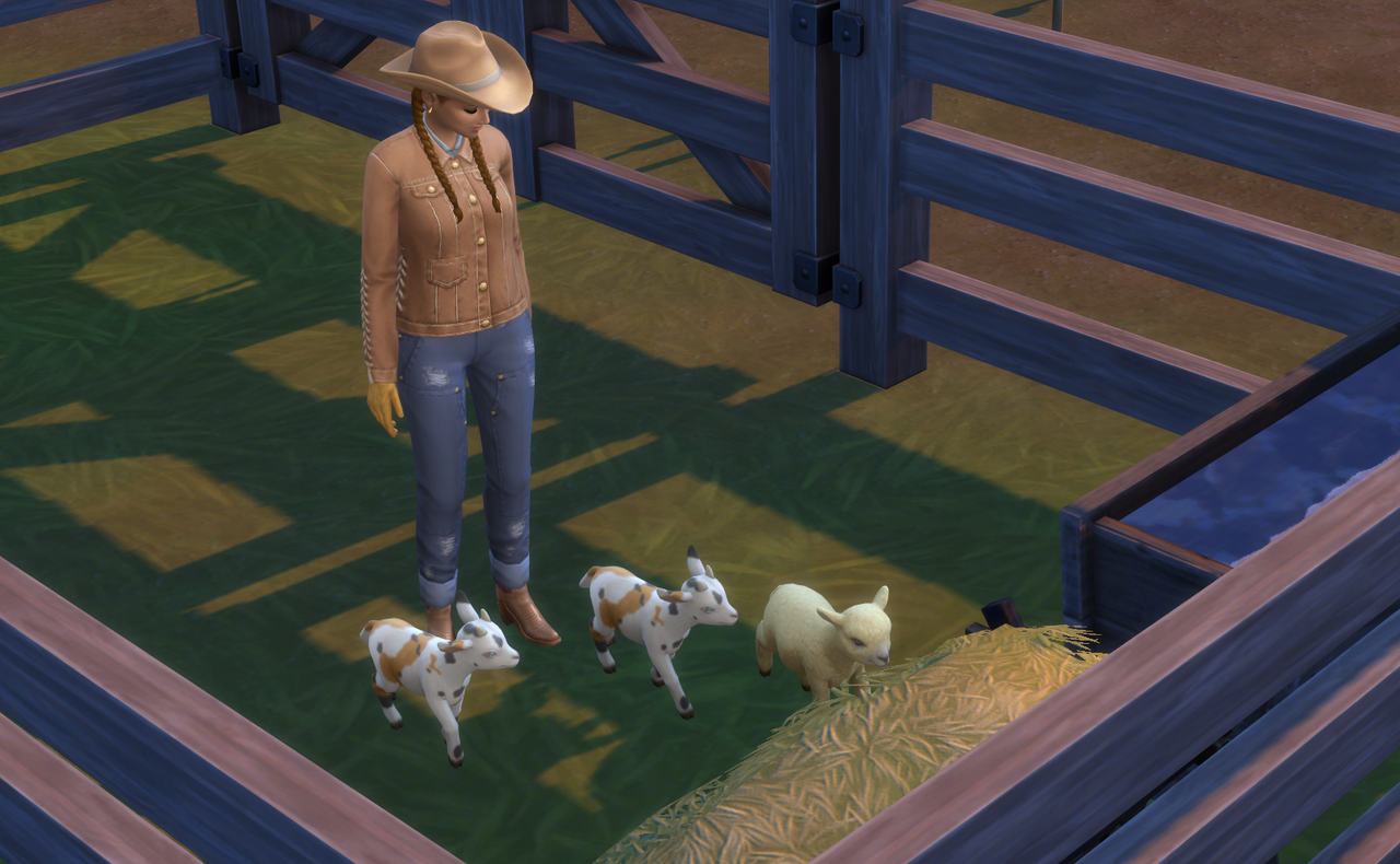 MINI-OATS-AND-SHEEP.png