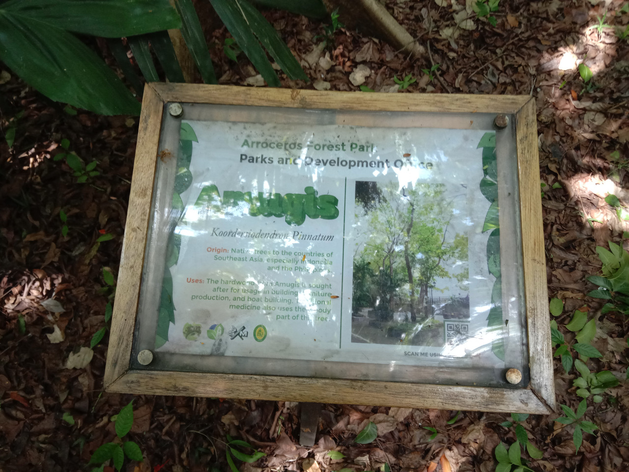 Arroceros Forest Park Manila Bagras20260715 141202