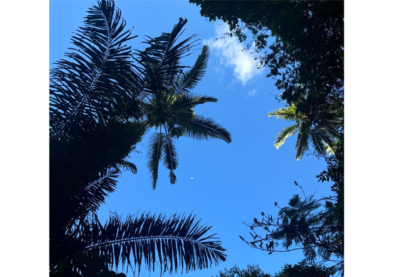 6 Aviones, 3 barcos y 2 trenes, empezando en Estambul y terminando Kuala Lump - Blogs de Indonesia - TERCERA PARADA: BALI (116)