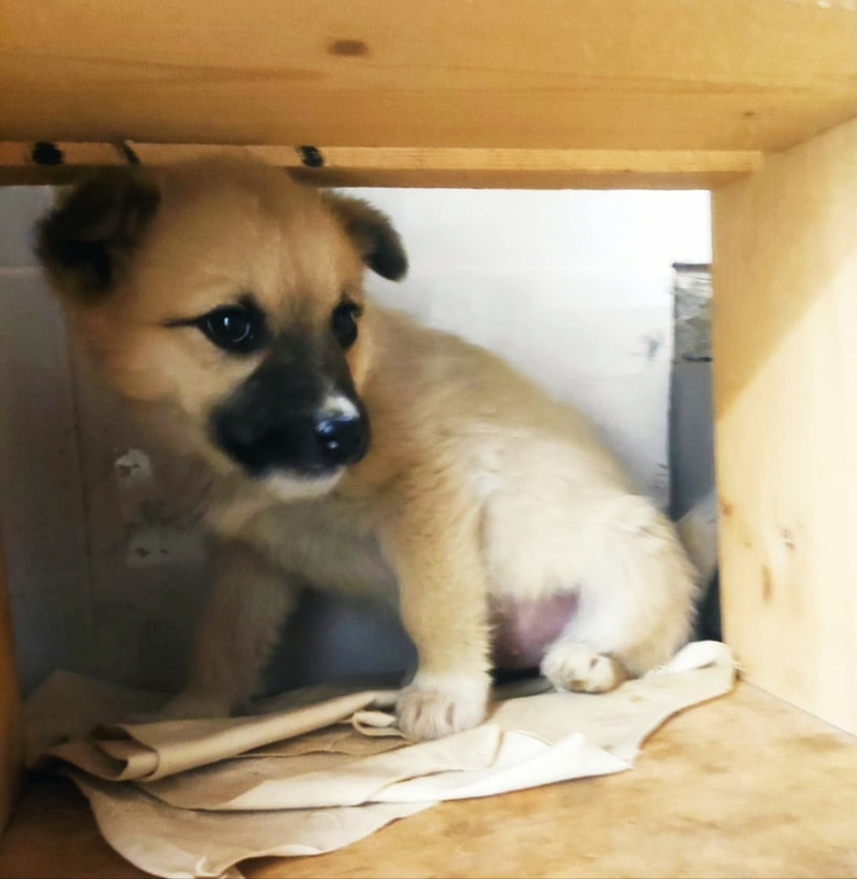 тула1 — копия