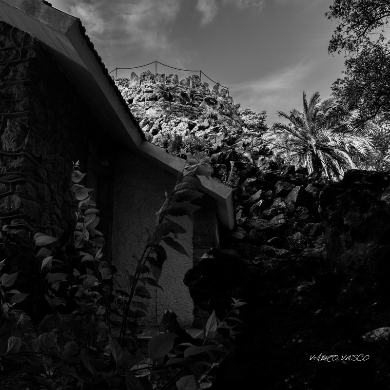 HIve-CAstle-and-centro-Bn-W-05.jpg