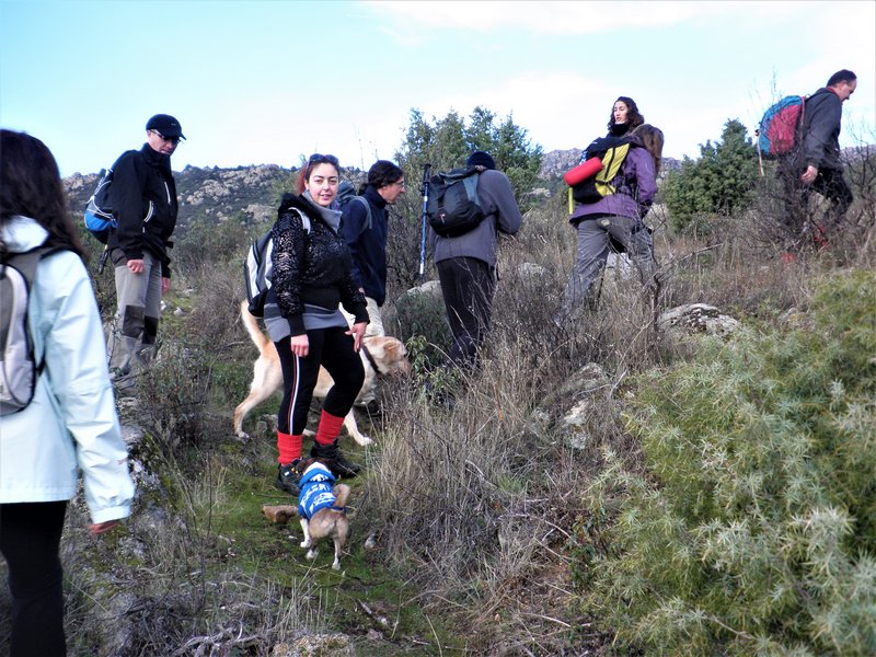RUTA LOS PORRONES-11-1-2014-MADRID - Paseando por España-1991/2016 (7)