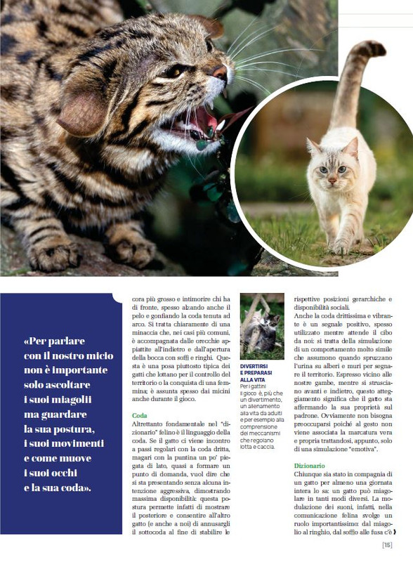 Ga Ma Ott-Nov 2023 (2)