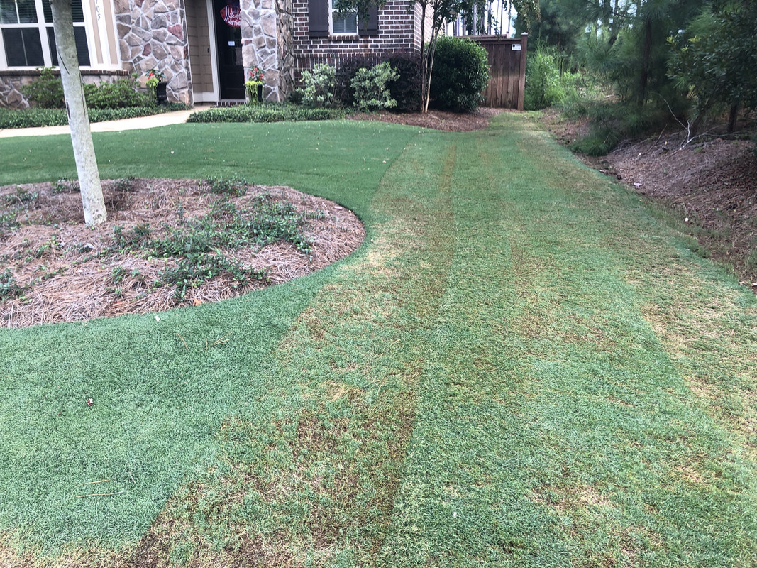 64286CB3-6DCC-4A7F-ACB4-8CA743BAA427