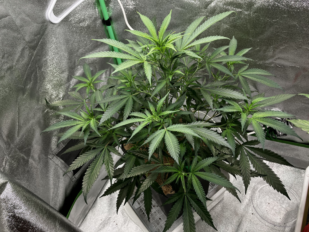 FB481143-9612-4762-BC85-E5A4A7B0D3FF