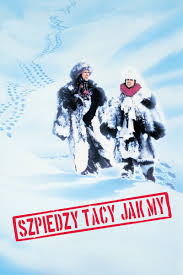 17705445348114985929159167426506