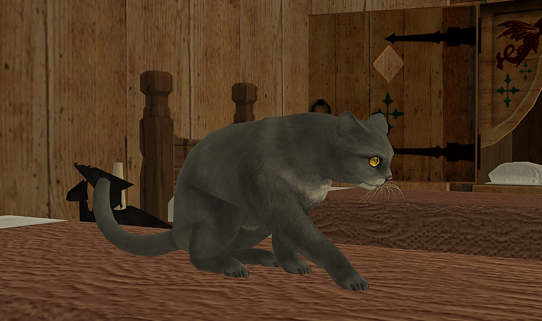 Greenshot_2025-07-17_17_33_29